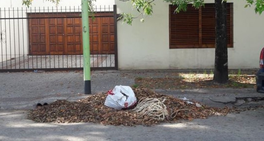 El Municipio sigue concientizando sobre la importancia de mantener limpia la ciudad   