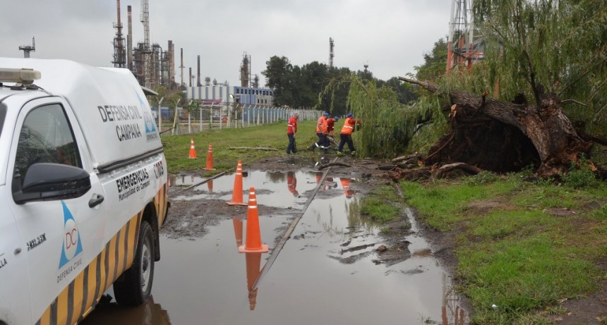 Defensa Civil actu&oacute; ante la ca&iacute;da de &aacute;rboles y postes de luz por las fuertes tormentas