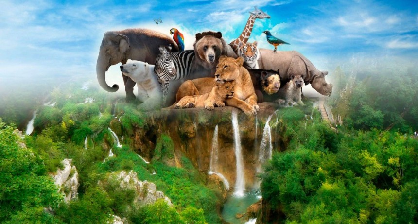  29 de abril &ndash; D&iacute;a del animal