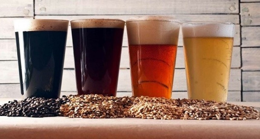 Curso intensivo de Elaboraci&oacute;n de Cerveza Artesanal en la UTN 
