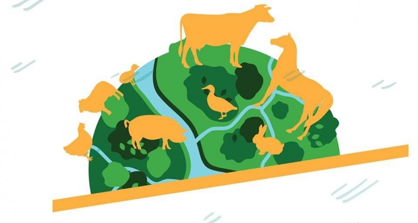 Mes del animal: Cuidarnos es cuidarlos