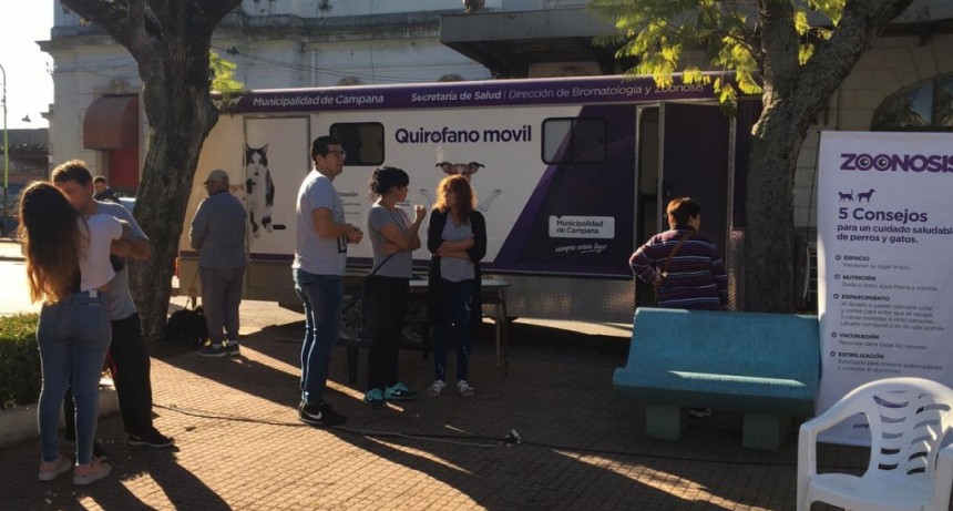 Con una jornada de adopci&oacute;n responsable de mascotas, se conmemor&oacute; el D&iacute;a del animal