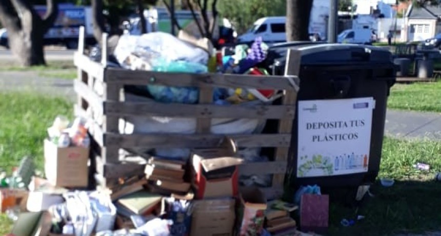 Puntos verdes: solicitan a los vecinos arrojar solo material reciclable