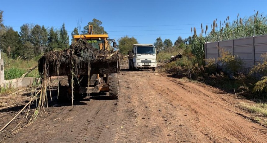 El Municipio trabaja en el mantenimiento de la ciudad durante la cuarentena