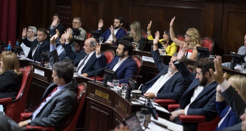 Senadores de Juntos por el Cambio: "Tenemos que avanzar con iniciativas que lleven alivio a los bonaerenses"