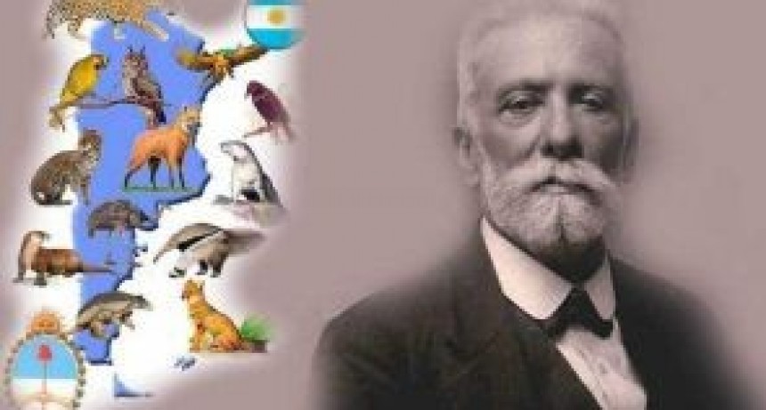 D&iacute;a del Animal en Argentina: por qu&eacute; se celebra el 29 de abril
