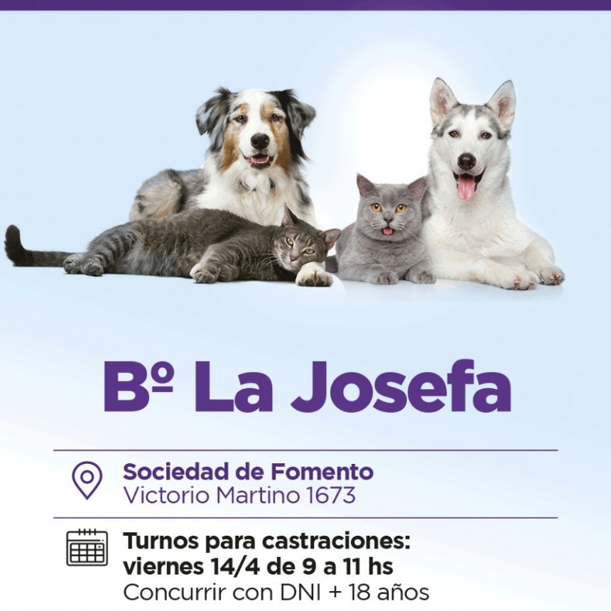 El quirófano móvil del Municipio estará en el barrio La Josefa