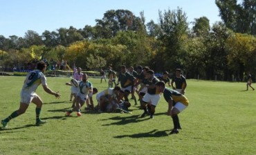 RUGBY: CIUDAD DE CAMPANA  LOCAL FRENTE A LOS CEDROS