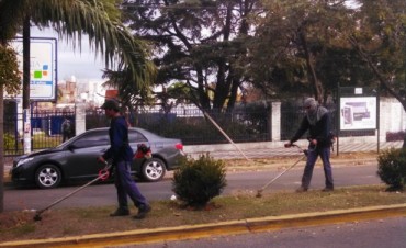 Se realizaron cortes de pastos y limpieza en espacios p&uacute;blicos