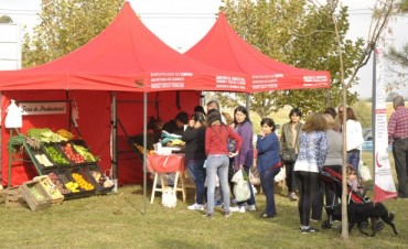 La Feria de los Productores Locales se presenta hoy en la Plaza del Barrio Del Pino