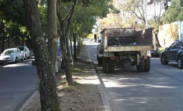 Personal Municipal trabaja en el acondicionamiento y limpieza de los parterres de la Ciudad