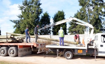 Comenzaron las obras de alumbrado p&uacute;blico en el B&deg; La Josefa 