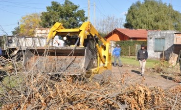 Recolectan ramas y mont&iacute;culos de poda en Dallera 