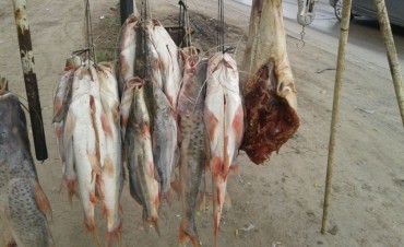 Desarman dos puestos de venta ambulante de pescado y carne de carpincho ilegales