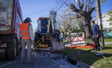 Siguen las obras en la ciudad: ahora el Municipio inici&oacute; la repavimentaci&oacute;n del boulevard Dellepiane