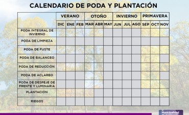 Contin&uacute;a vigente la Ordenanza Municipal para el arbolado p&uacute;blico
