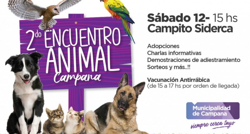 Por las malas condiciones clim&aacute;ticas, se reprogram&oacute; el &ldquo;Encuentro Animal&rdquo;