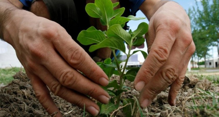 Se ponen en marcha nuevos talleres del programa PRO-Huerta