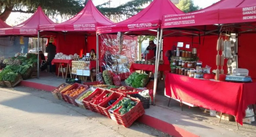 La feria de productores locales de los viernes se realiza en plaza Espa&ntilde;a
