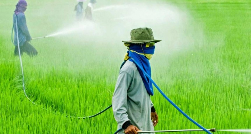 La Agencia de Protecci&oacute;n Ambiental de los Estados Unidos (EPA) reafirma que el glifosato no es carcin&oacute;geno