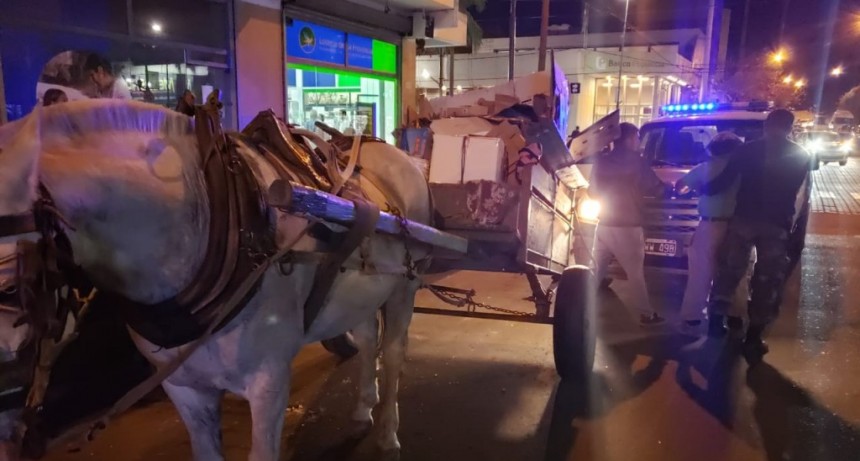 Se empieza a implementar en Campana el Documento &Uacute;nico Equino