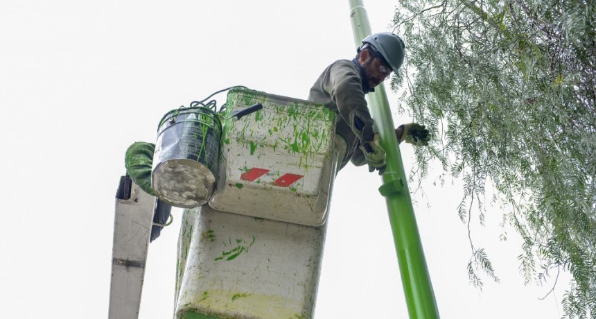 El Municipio repara las luminarias de las avenida Per&oacute;n y Balb&iacute;n