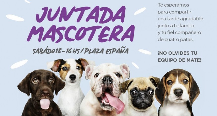 Este s&aacute;bado habr&aacute; una &ldquo;Juntada mascotera&rdquo; en la plaza Espa&ntilde;a
