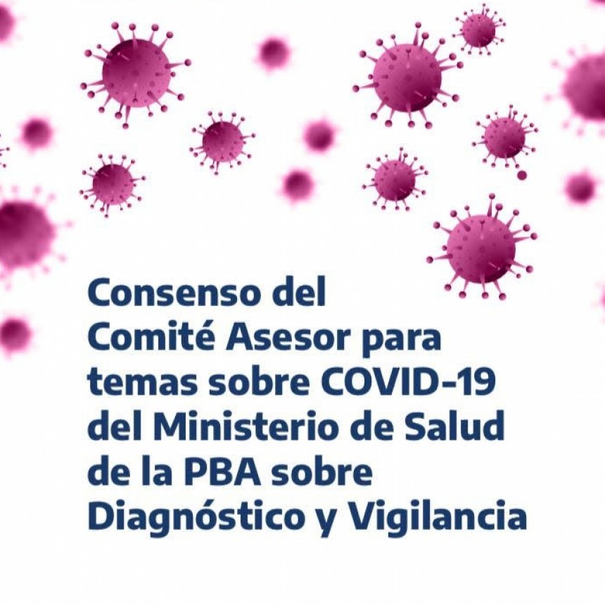 LA PROVINCIA INFORMA QUE LA &Uacute;NICA PRUEBA V&Aacute;LIDA QUE DETERMINA NUEVOS CASOS DE CORONAVIRUS ES LA DE PCR
