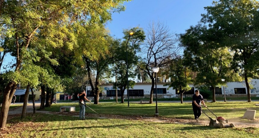 El Intendente sali&oacute; a cortar el pasto en plazas