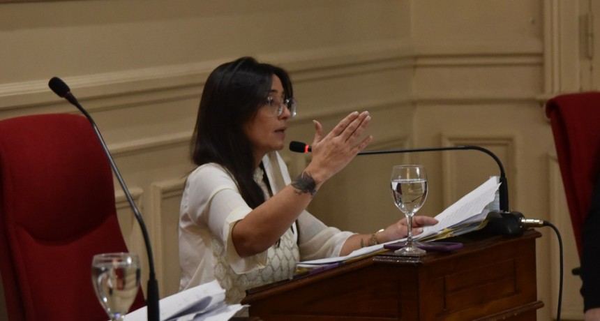  Marina Casaretto us&oacute; la banca para cuestionar la ejecuci&oacute;n del presupuesto del Concejo Deliberante en el 2019