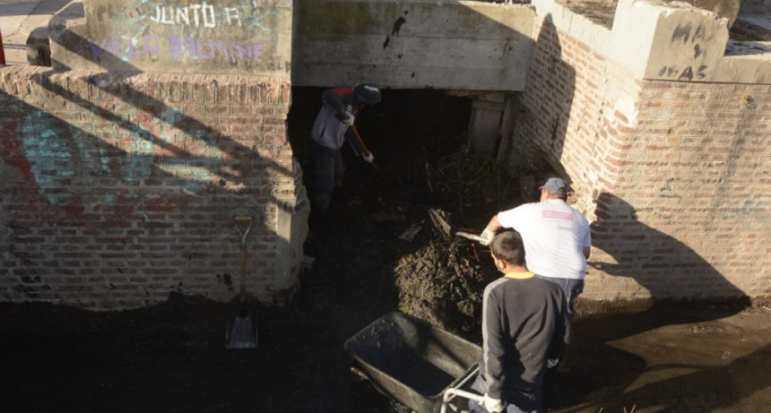 Se realizó un importante operativo de limpieza en Berutti y Alem 