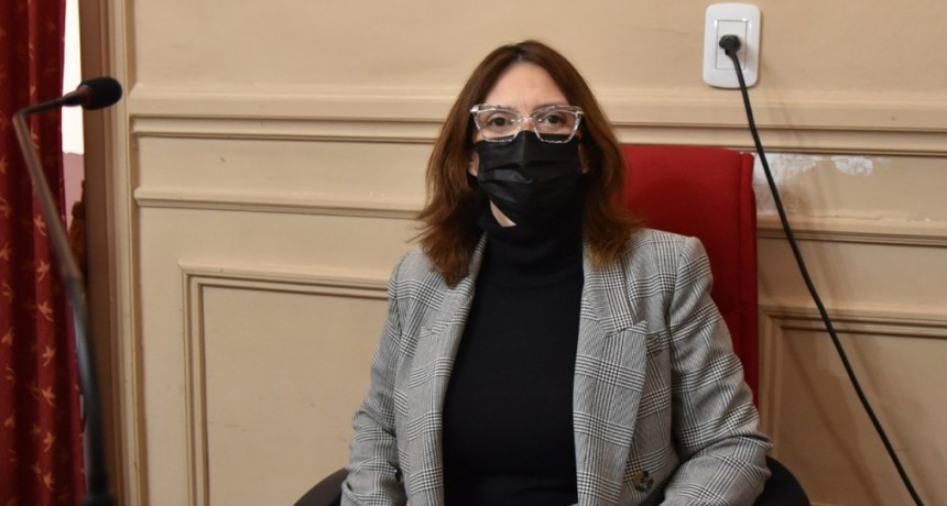 Sala pidió a Provincia que transportistas escolares sean eximidos del pago de la VTV