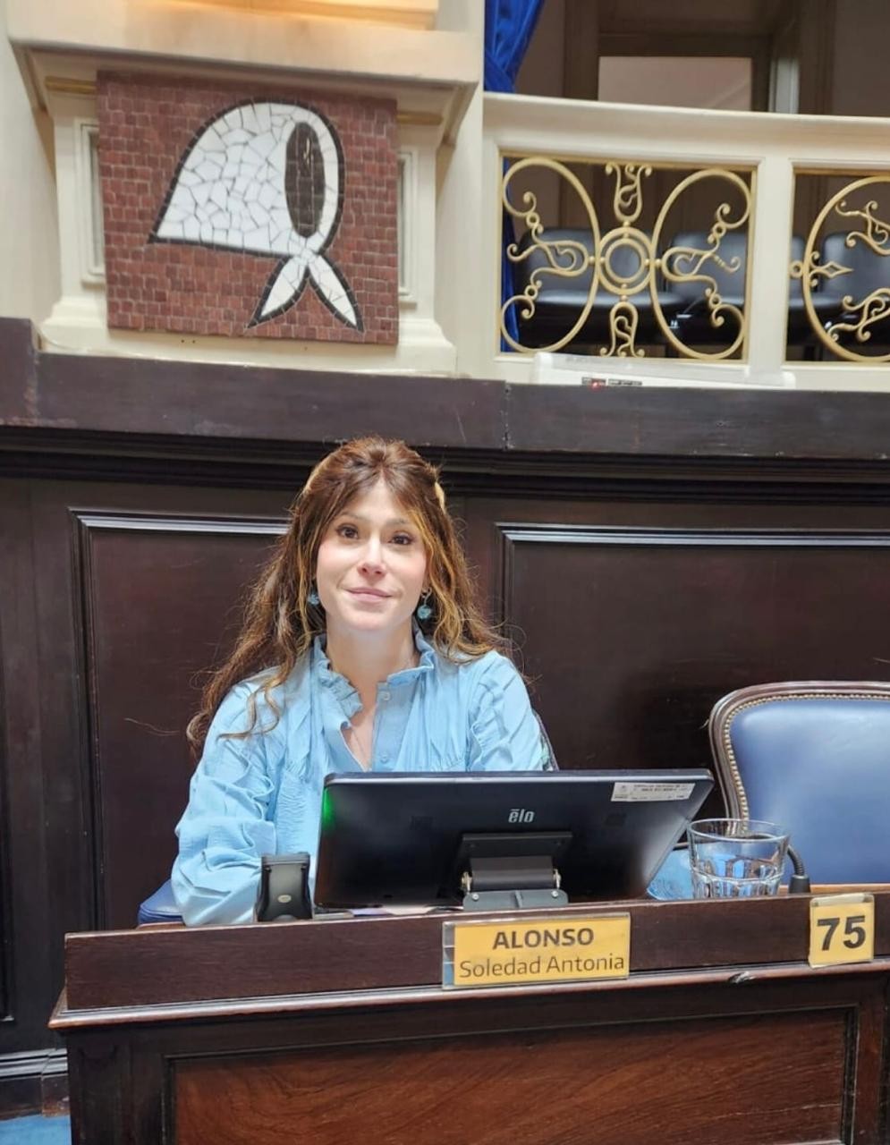 Soledad Alonso ante la media sanción de la polémica Ley de Bases