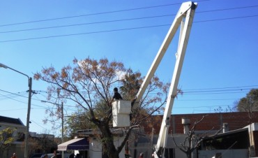 El Municipio realiza la poda de &aacute;rboles para mejorar la visual del sistema de monitoreo