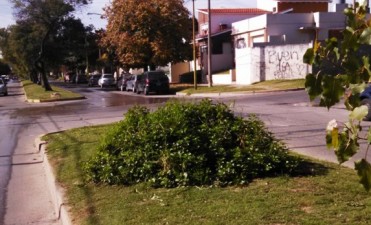 Servicios P&uacute;blicos completar&aacute; trabajos de limpieza y pintado de cordones durante el fin de semana