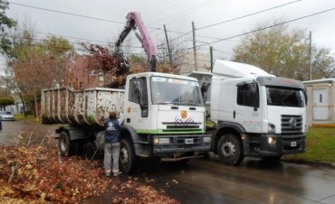 El Municipio dise&ntilde;a un cronograma de recolecci&oacute;n de restos de poda