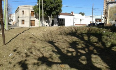 CEMAV: siguen los trabajos de mantenimiento y limpieza en toda la ciudad