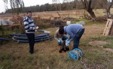 Se realiz&oacute; una inspecci&oacute;n ambiental en la empresa Land Nort S.A.
