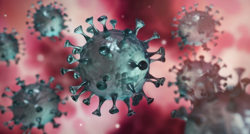 Se estima que durante la pandemia por el Coronavirus podr&iacute;an producirse hasta 10.500 nuevos casos prevenibles de enfermedad cardiovascular y entre 6.000 y 9.000 muertes evitables en Argentina