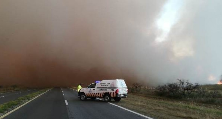 Declaran la emergencia ambiental por las quemas de pastizales en el Delta del Paraná