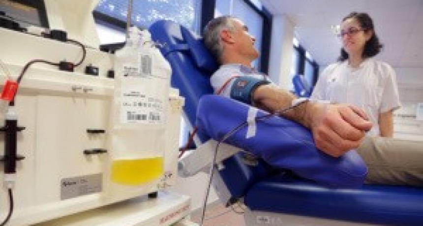 Se necesitan dadores de Plasma