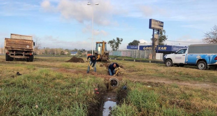 Se realizan tareas de limpieza y mantenimiento integral en la ciudad 