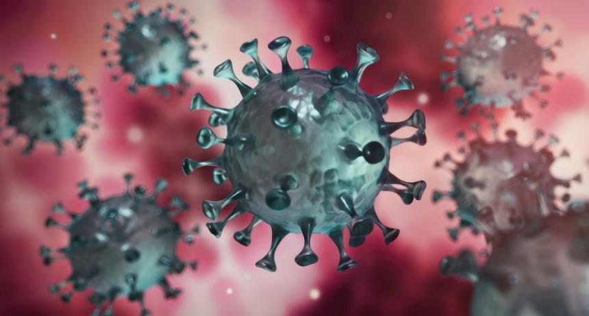 ¿Qué podemos tomar ante síntomas secundarios por la vacuna contra el Covid 19?