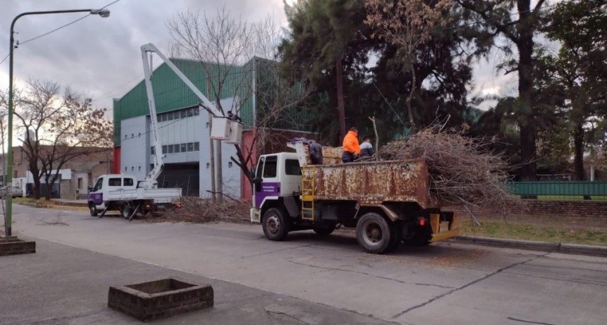 EL MUNICIPIO CONTINÚA CON TAREAS DE MEJORAS Y MANTENIMIENTO DEL ESPACIO PÚBLICO
