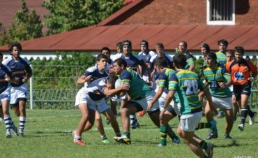 RUGBY: Club Ciudad de Campana fue derrotado por Virreyes