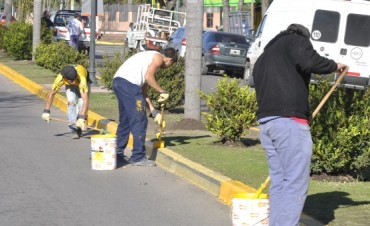 El Municipio contin&uacute;a realizando mejoras de embellecimiento 