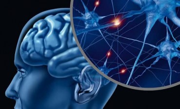 Se realizar&aacute; una charla gratuita sobre neurociencias y PNL