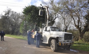 Tras el robo de cables, se repararon luminarias en el barrio La Lucila