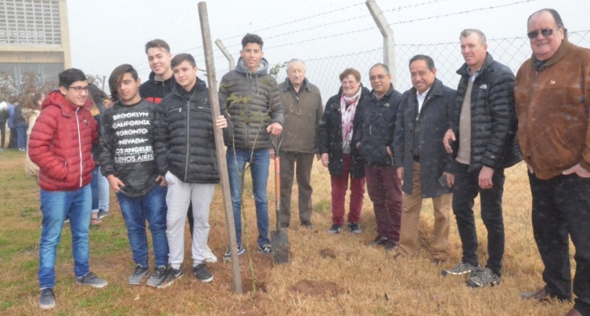 Medio Ambiente colabor&oacute; con la plantaci&oacute;n de &aacute;rboles en la Escuela T&eacute;cnica N&ordm; 2