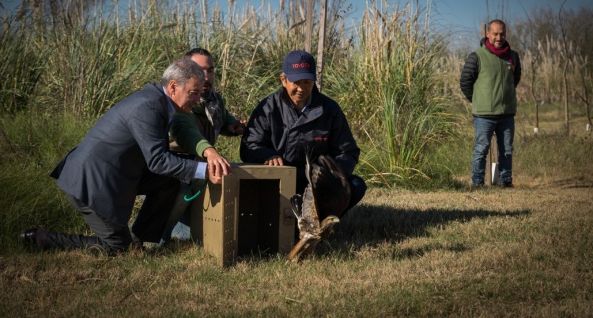 Toyota consolida su proyecto educativo ambiental en Z&aacute;rate